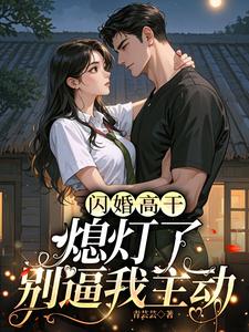 闪婚高干:熄灯了,别逼我主动