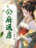 公府通房