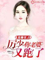 宠婚至上:厉少你老婆又跑了