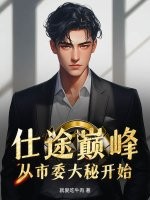 仕途巅峰:从市委大秘开始!
